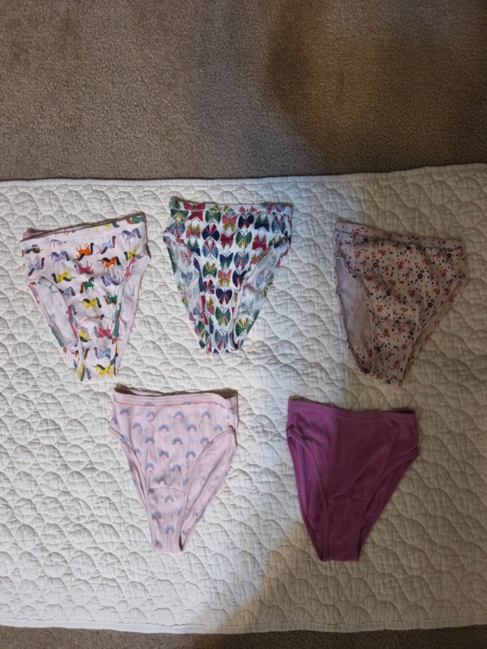 Set of 5 Hanna Andersson 100% Organic Cotton Underwear Size XL
